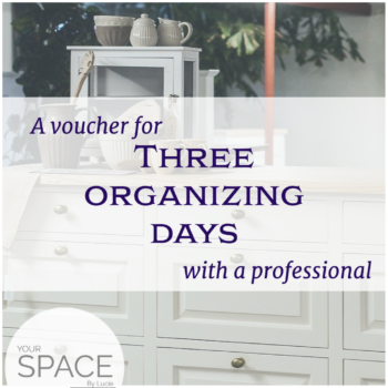 3 days with professional organizer