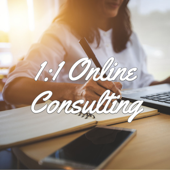 1 to 1 Online Consulting